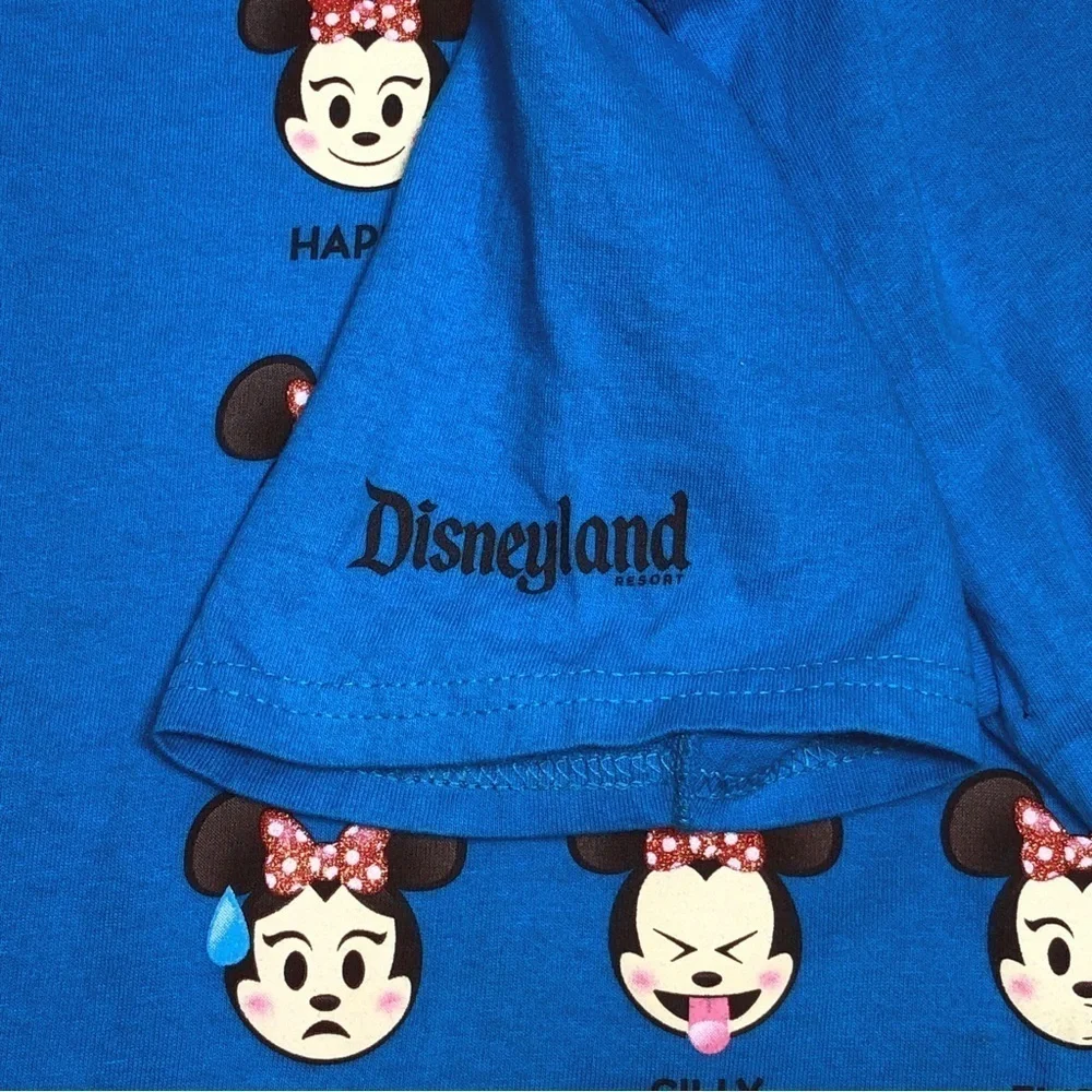 Disney authentic parks